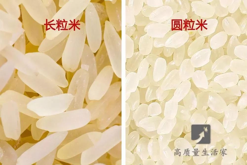 米3和米4的区别 小米3小米4有什么区别 