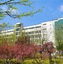 关于青岛黄海状态回暖，期待取得胜利的信息